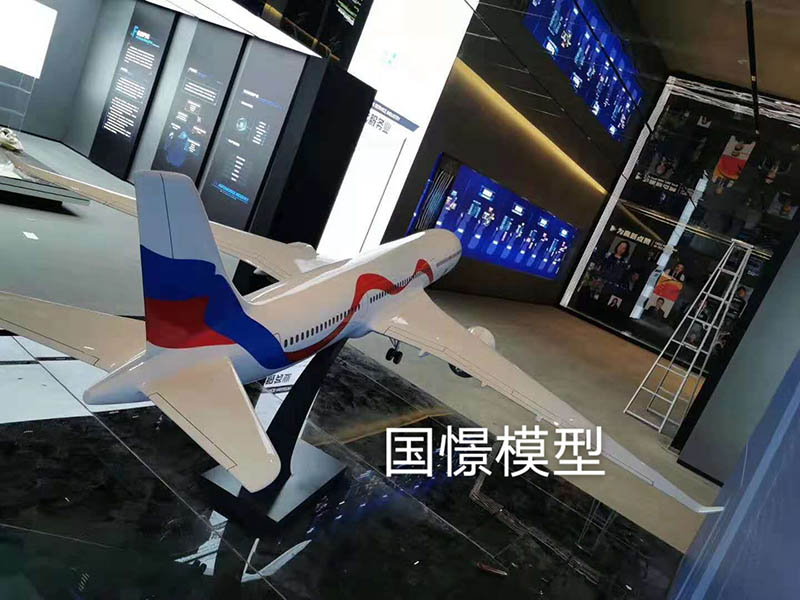 赤壁市飞机模型
